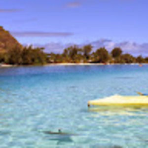 Meet your Posher, Joel